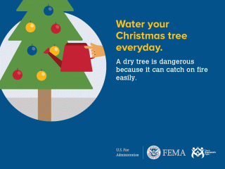 Holiday Tree Safety